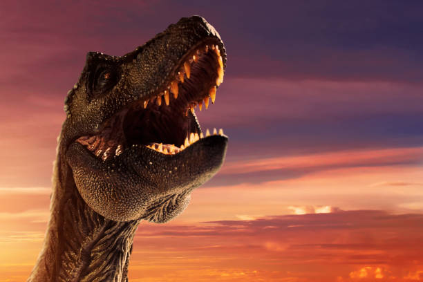 istock Dinosaur trex tyrannosaurus rex toy 1398851512