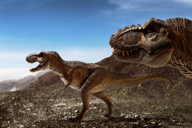 istock Dinosaurs tyrannosaurus rex on top mountain 1398851515