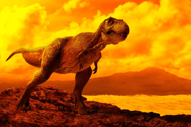 istock Dinosaur tyrannosaurus rex on top mountain 1398851518