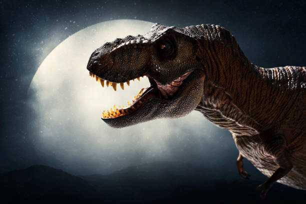 istock Dinosaur, tyrannosaurus rex on top mountain 1398851522