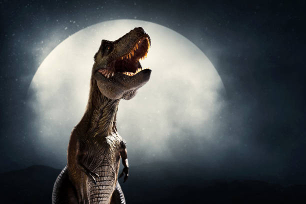 istock Dinosaur, tyrannosaurus rex on top mountain 1398851523