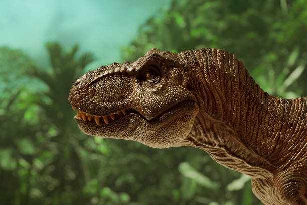 istock Dinosaur trex tyrannosaurus rex toy 1398851524