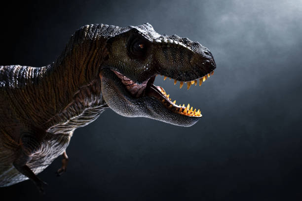 istock Dinosaur, Tyrannosaurus Rex on dark background 1398851526