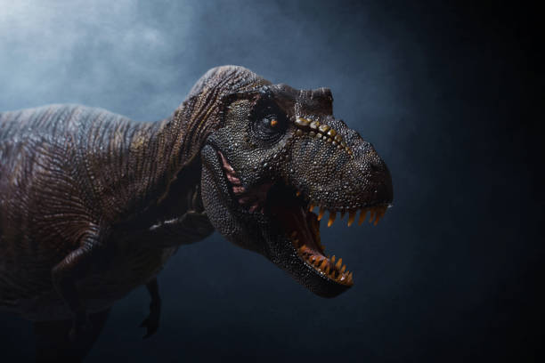 istock Dinosaur, Tyrannosaurus Rex on dark background 1398851528