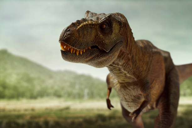 istock Dinosaur trex tyrannosaurus rex toy 1398851530