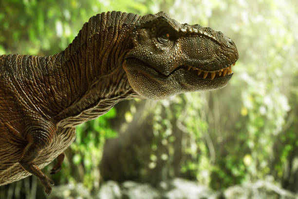istock Dinosaur trex tyrannosaurus rex toy 1398851534