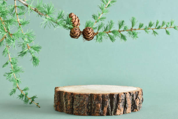 istock Podium with a larch branch and a cone on a green background. 1398852367