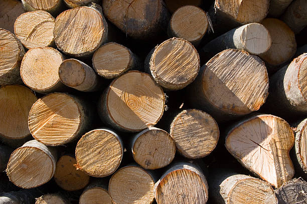 Wood stock photo