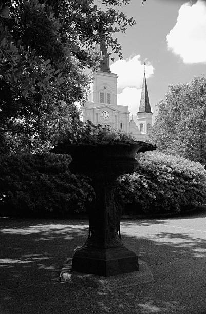 istock B&W St. Louis Cathedral Through The Landscape 139885352