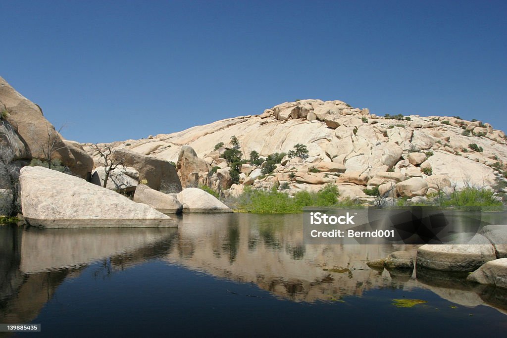 Barker Dam, del Parque Nacional Joshua Tree - Foto de stock de Agua libre de derechos