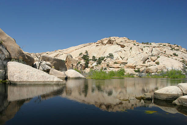 istock Barker Dam, Joshua Tree National Park 139885435