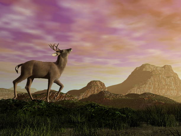 istock Buck in the mountain - 3D render 1398854988