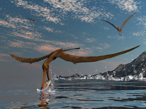 Anhanguera prehistoric birds - 3D render stock photo