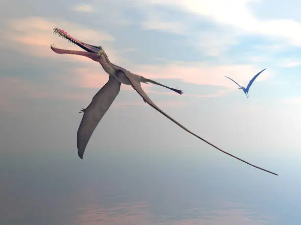 Anhanguera prehistoric birds flying upon the sea by sunset - 3D render