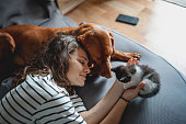 istock Portrait of a young woman with a Hungarian Pointer dog and a small kitten in her arms lying at home in a room on a bag chair 1398856548