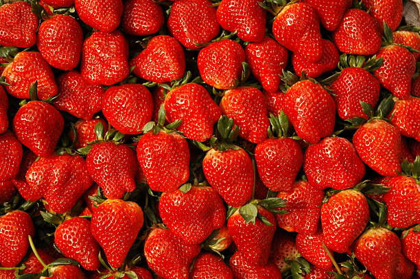 strawberry stock photo