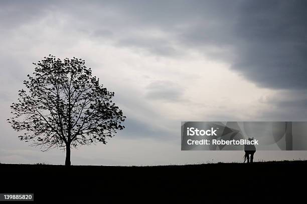 Einsam Horse Stockfoto und mehr Bilder von Auf die Uhr sehen - Auf die Uhr sehen, Baum, Bunt - Farbton