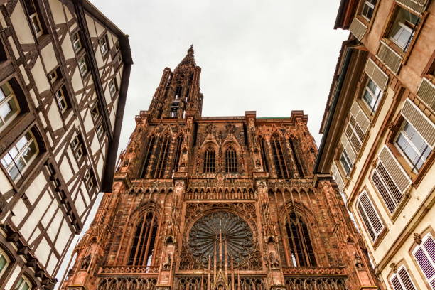 cathedrale notre-dame ou catedral de nossa senhora em estrasburgo, al - strasbourg cathedral - fotografias e filmes do acervo