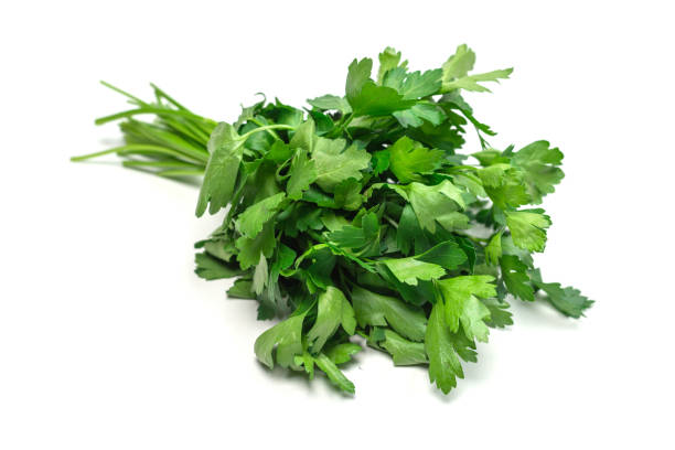 istock A bunch of parsley isolated on white background. 1398858477