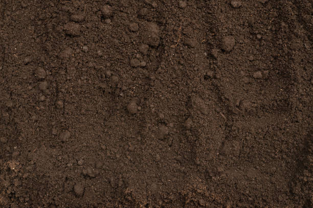 istock Black land for plant background. Top view. 1398858534