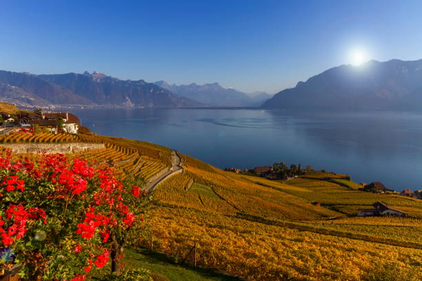 istock Lavaux region, Vaud, Switzerland 1398859315