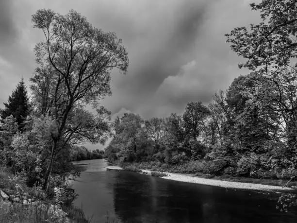 River Ybbs and Riparian Forest near Amstetten, Lower Austria in Monochrome Black and White