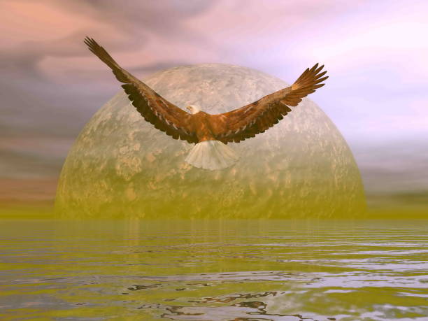 istock Eagle Freedom to the moon - 3D render 1398862586