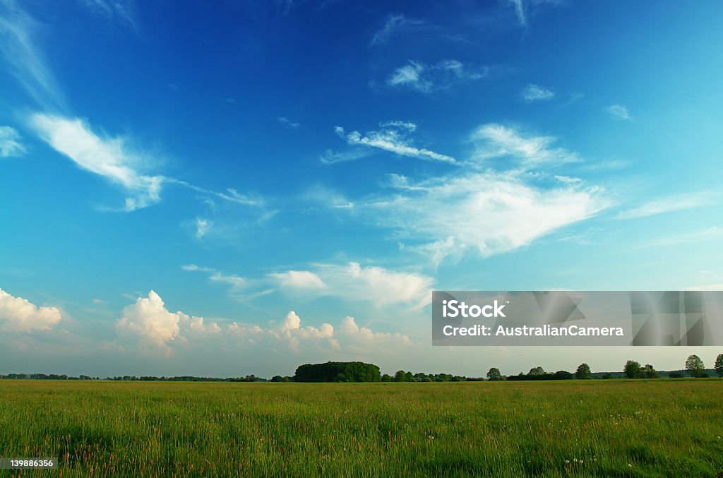 Intervalo de - Royalty-free Agricultura Foto de stock