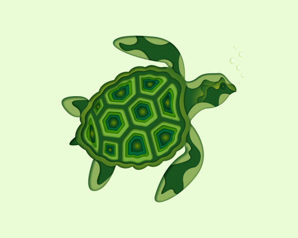 アオウミガメのシルエット - turtle green sea turtle silhouette sea点のイラスト素材／クリップアート素材／マンガ素材／アイコン素材
