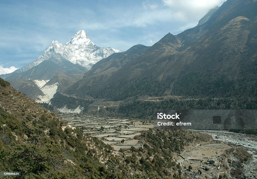 Cultural campos y Ama Dablam - Foto de stock de Agricultura libre de derechos