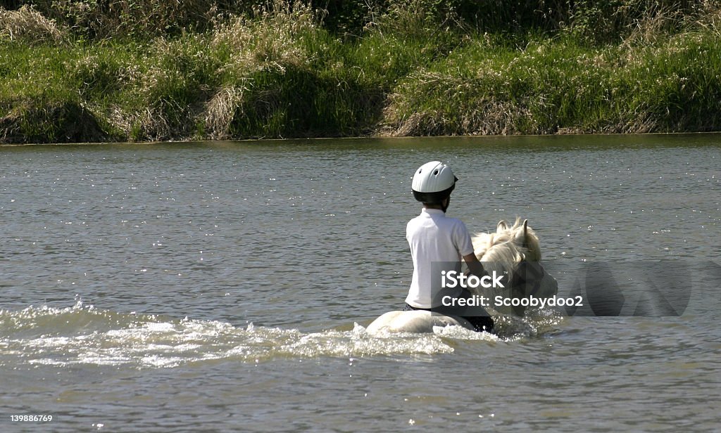 Tägliche Runde für Junge und sein Pferd - Lizenzfrei Pferd Stock-Foto