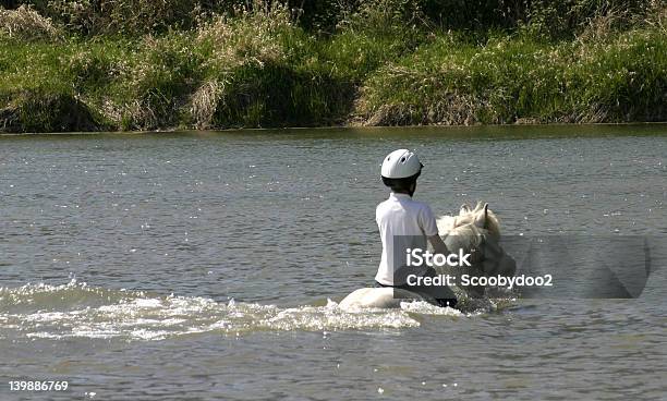 Ежедневно Dip Для Мальчика И Его Лошадь — стоковые фотографии и другие картинки Лошадь - Лошадь, Плавать, Белый