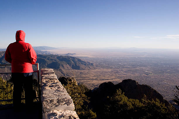 istock Looking off into the distance, contemplating 139886996