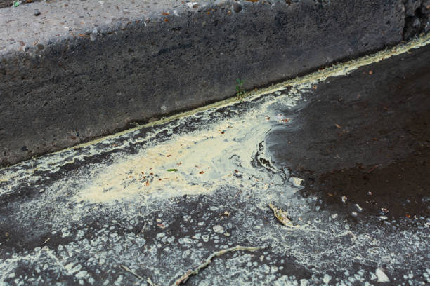 istock Pollen in a puddle on the ground after rain 1398870583