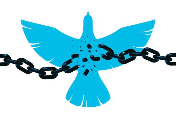Bird flying up into sky and broken chain in front freedom concept vector poster, liberty and human rights allegory, career or business ambitions, dove spread wings. Bird flying up into sky and broken chain in front freedom concept vector poster, liberty and human rights allegory, career or business ambitions, dove spread wings. broken chain stock illustrations