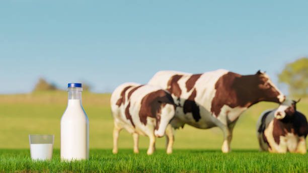 istock Fresh milk from cows in a bottle and in a glass 1398875429