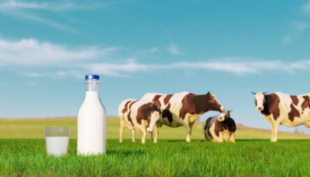 istock Fresh bottle of milk from cows on a field 1398875431