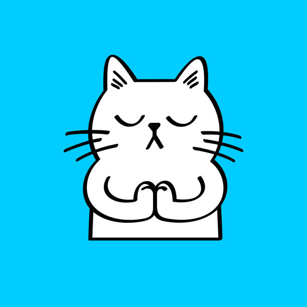 White cat doing yoga Line vector icon. Vector EPS 10, HD JPEG 4000 x 4000 px simple cat line art stock illustrations