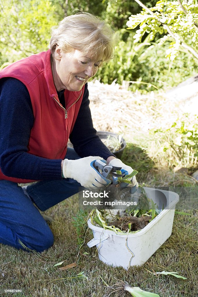 Tracés dans le jardin - Photo de Activité libre de droits