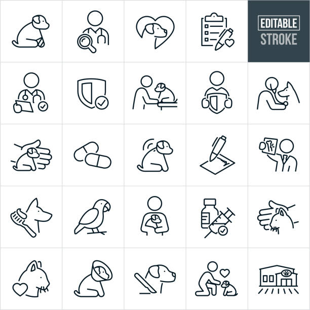 Pet Insurance Thin Line Icons - Editable Stroke A set of pet insurance icons with editable strokes or outlines using the EPS file. The icons include a veterinarian search, puppy dog with cast on injured leg, dog with heart background, check-list, vet with medical chart, shield, veterinarian giving a dog a check-up, vet doing a medical exam on a dog using a stethoscope, hand protecting a puppy dog, pet medication, dog with implanted tracking device, pet insurance policy, veterinarian holding up an x-ray of a broken bone from a pet, do with toothbrush representing teeth cleaning, parrot, pet owner holding puppy dog in arms, vaccine, hand shielding a cat, cat with heart, dog wearing a pet recovery cone, surgery, pet owner petting puppy dog, an animal hospital and other pet insurance related icons. animal hospital stock illustrations
