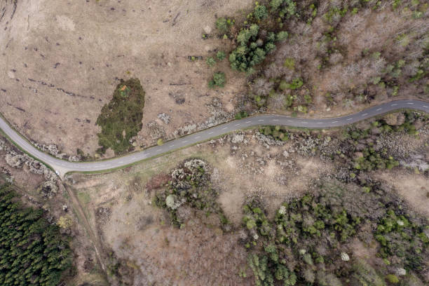 istock An Aerial Road Trip - forest with curved road 1398878288