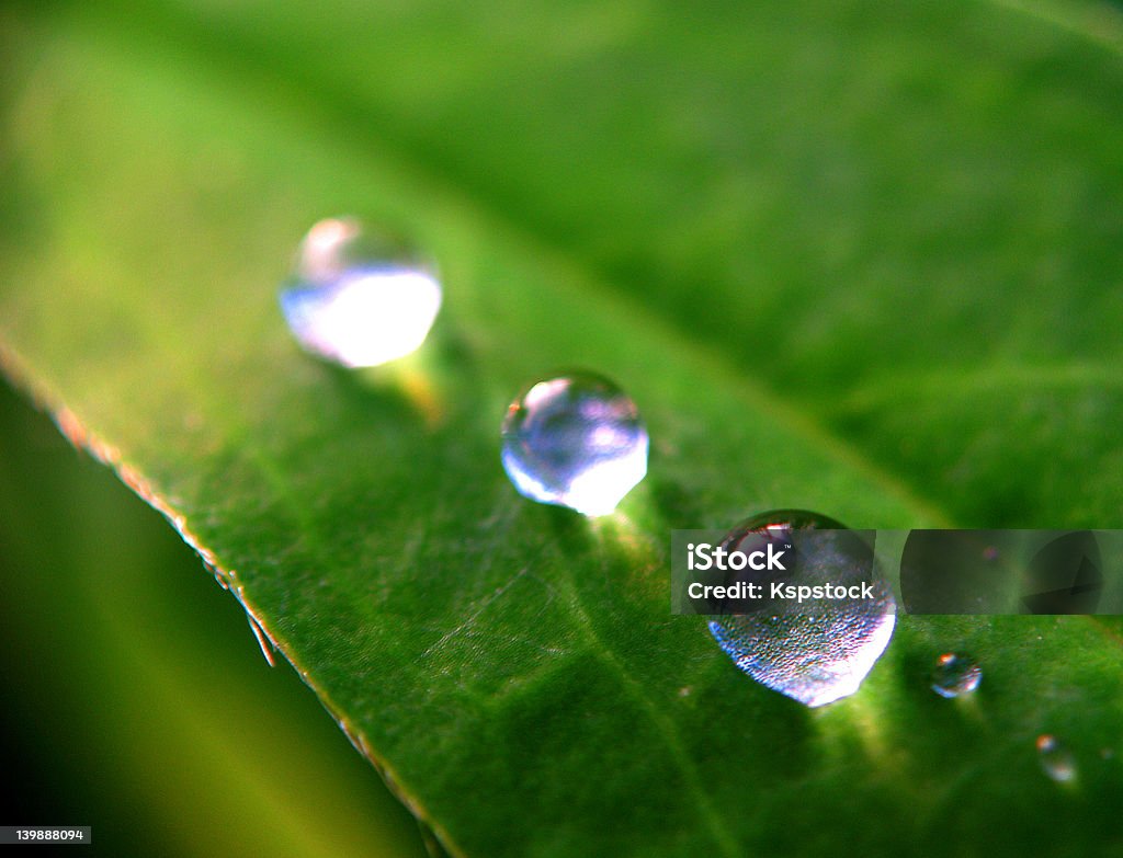 Three Extreme Raindrop Closeups Extreme closeup on raindrops un green flower leaf. Blue Stock Photo