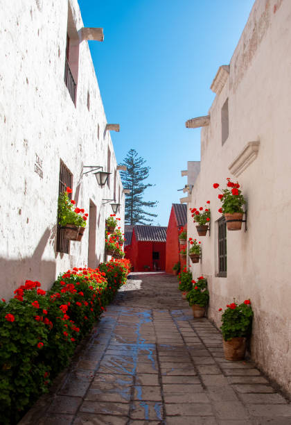 monastério santa catalina - santa catalina monastery - fotografias e filmes do acervo