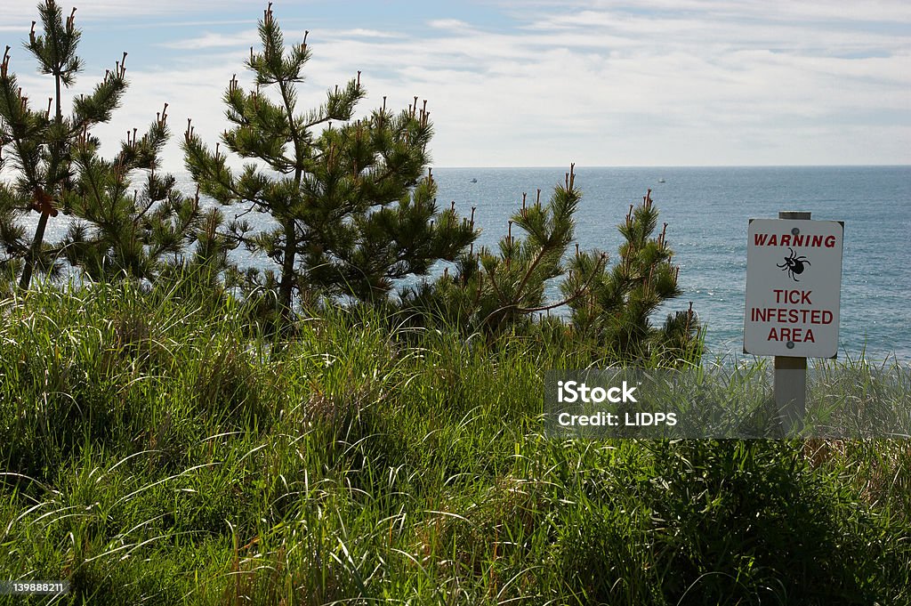 Zecke Warnung - Lizenzfrei Zecke Stock-Foto