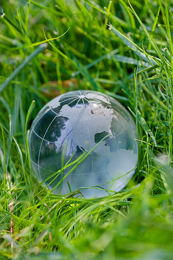 Glass globe on meadow