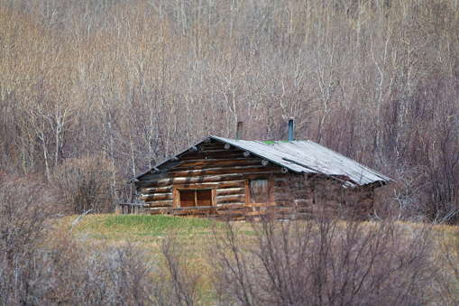 Original homestead log house on ranch land in northern Montana in northwest USA.