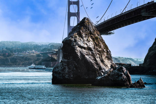 il golden gate bridge oscilla a battery yates - golden gate bridge bridge large san francisco county foto e immagini stock