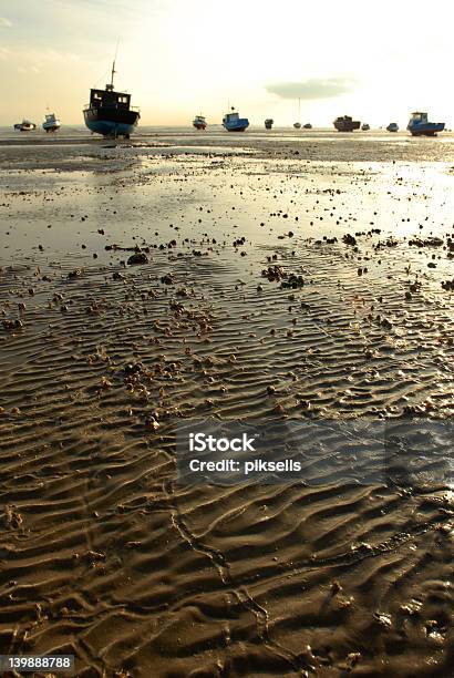 Mündung Der Dämmerung Stockfoto und mehr Bilder von Abenddämmerung - Abenddämmerung, Essex - Ostengland, Fischen