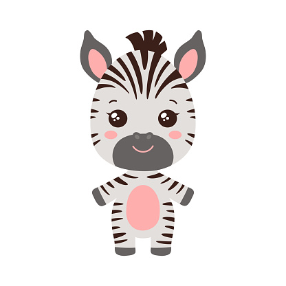 Cute baby zebra kawaii chibi style design vector illustration. Adorable zebra african plant-eating animal. Fun kids striped horse zebra image isolated on white background.