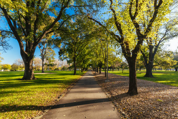 istock Darling Gardens in Clifton Hill Melbourne Australia 1398889981